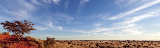 Travelling in Africa? You need to read this first | AA